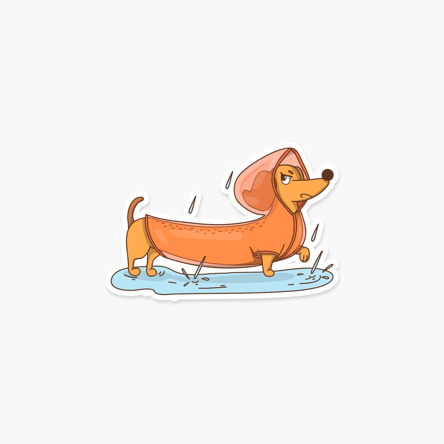 Disgruntled Dachshund Dog in a Raincoat - Animal Sticker