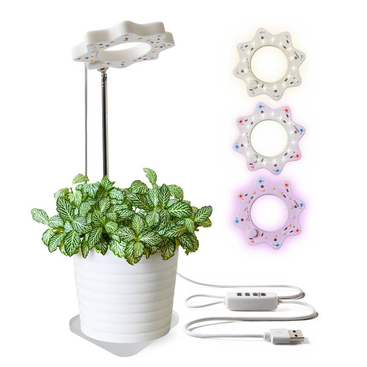 Seed N Sprout Bloomie Indoor Grow Light