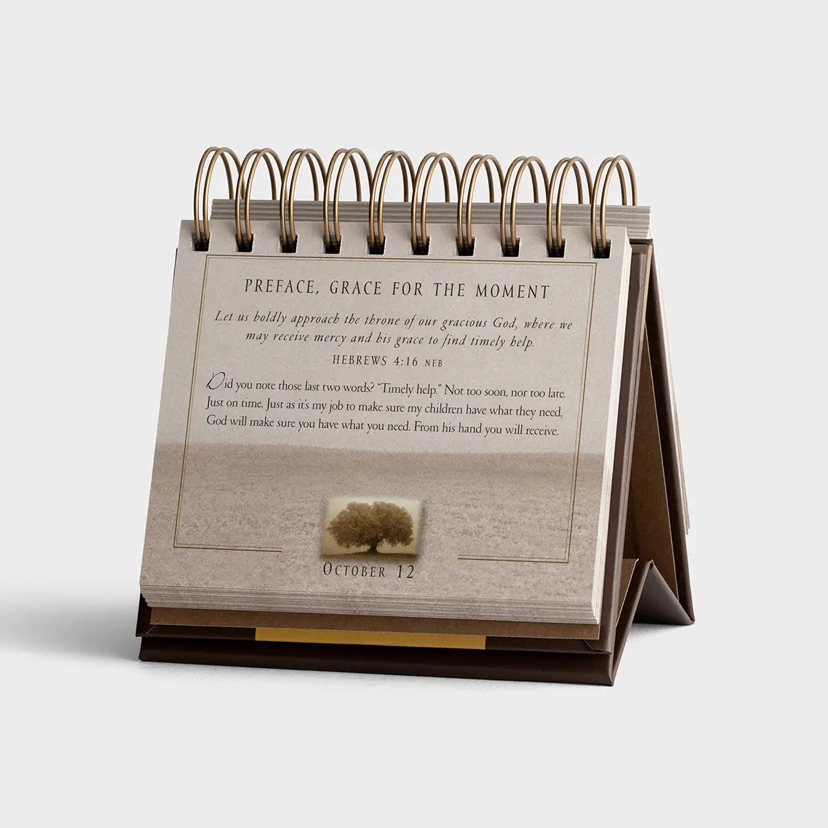 Max Lucado - Grace For The Moment - Perpetual Calendar