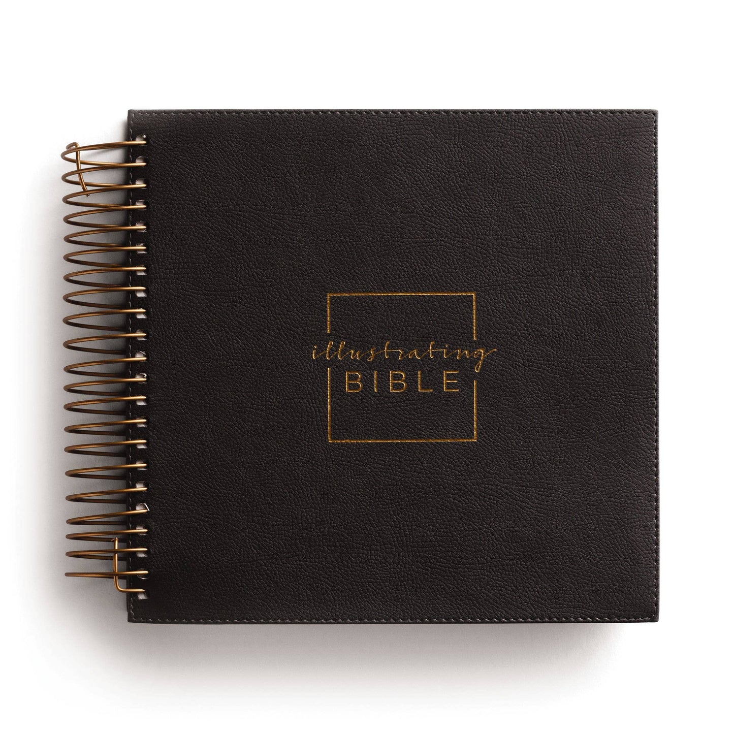 Illustrating Bible NIV - Spiral Bound Journal, Dark Gray