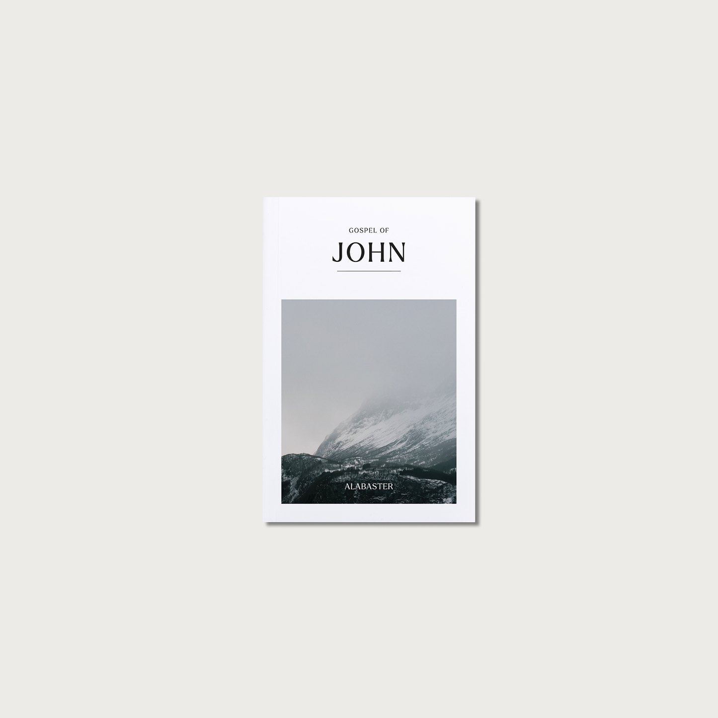 The Gospel of John: Softcover / New Living Translation (NLT)