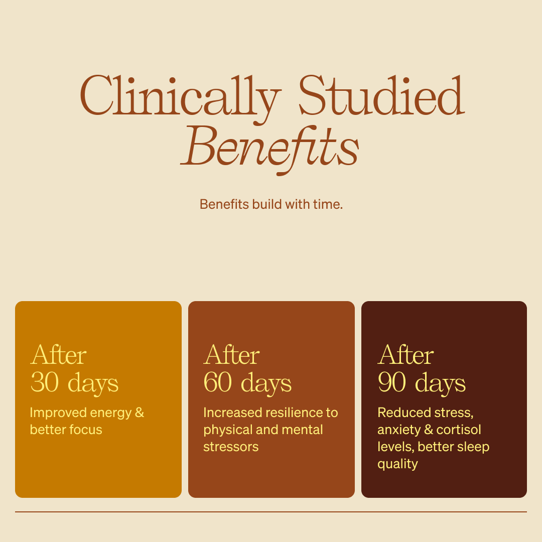 Rose Cocoa SuperLatte