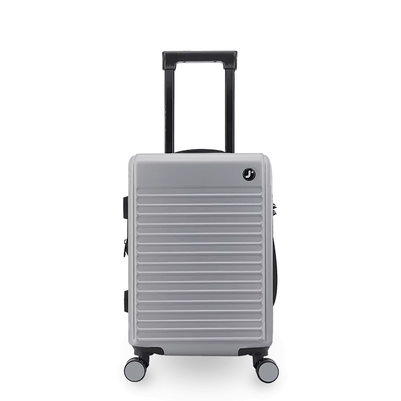 North Hardside Carry-on Luggage 20'': MISTY PURPLE