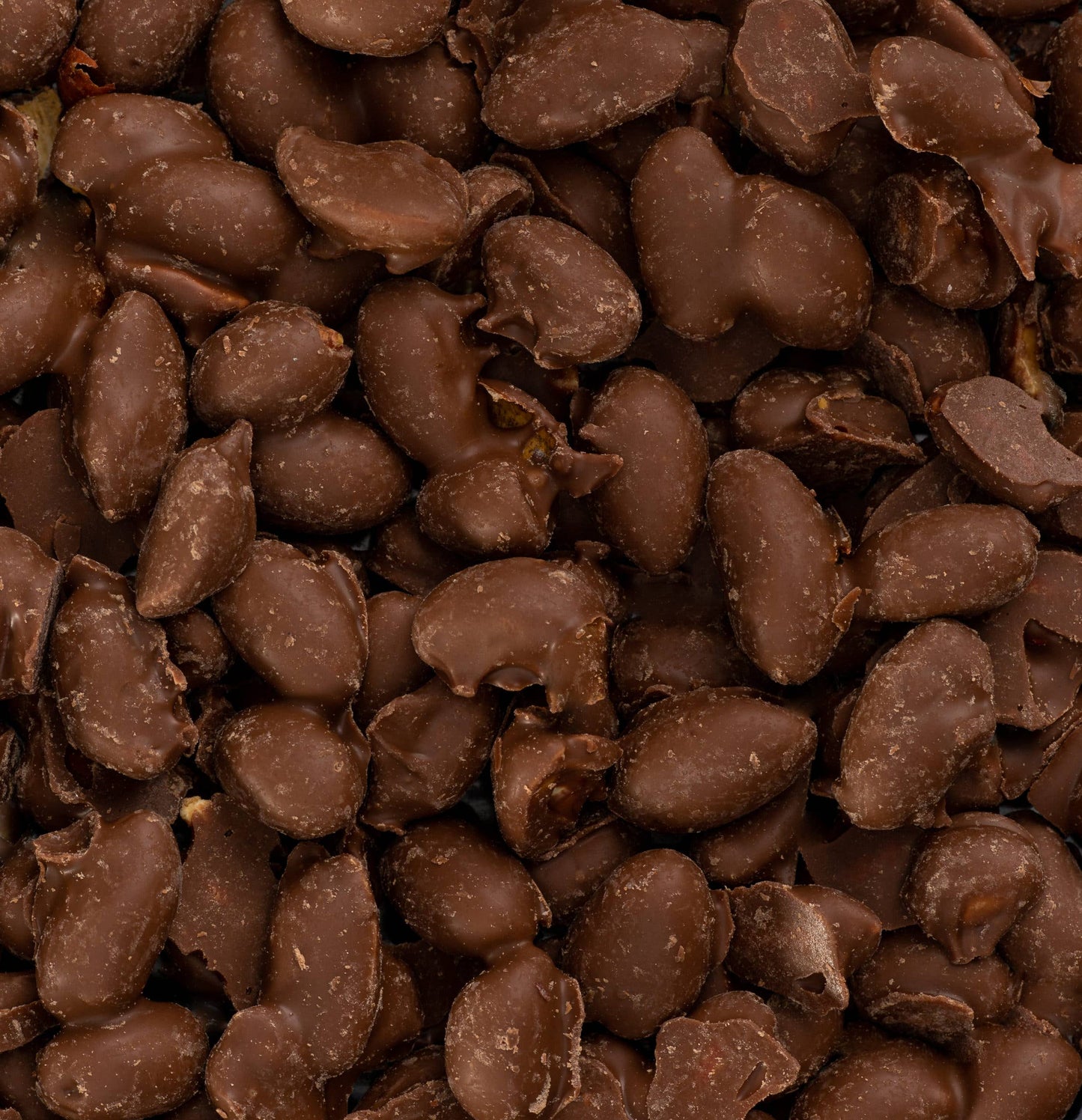 Holiday Chocolate Covered Peanuts: 10oz