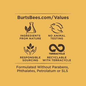 Burt's Bees Super Fruit Lip Balm (4-Pack)