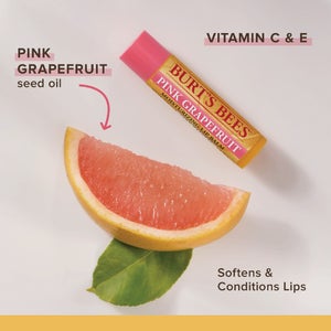 Burt's Bees Super Fruit Lip Balm (4-Pack)