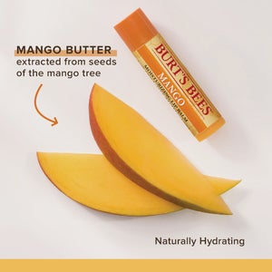 Burt's Bees Super Fruit Lip Balm (4-Pack)