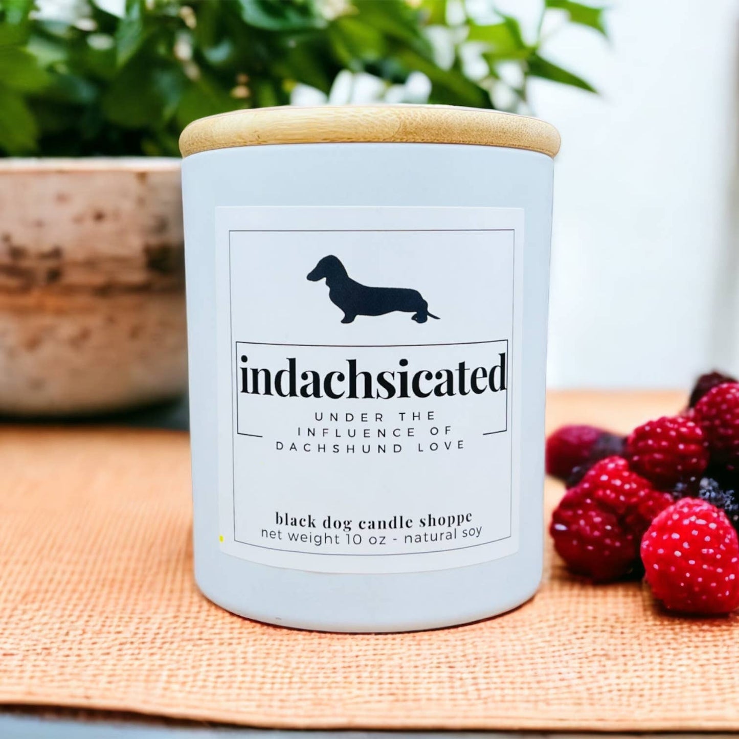 Dachshund Funny Candle: Black / Peony & Sandalwood