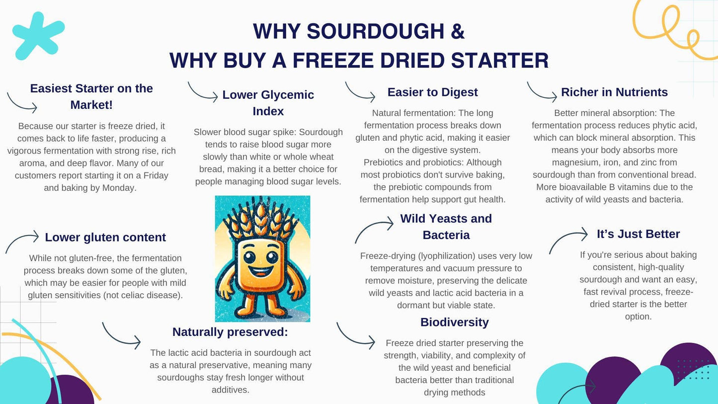 Organic, Non-GMO Sourdough Starter | Freeze Dried | 12gm
