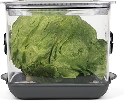 Square Produce ProKeeper+ Container
