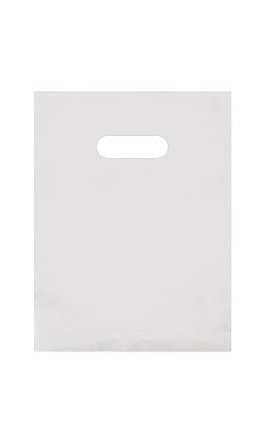 Frosted Retail Merchandise Bags: Clear / Case of 250 / Medium