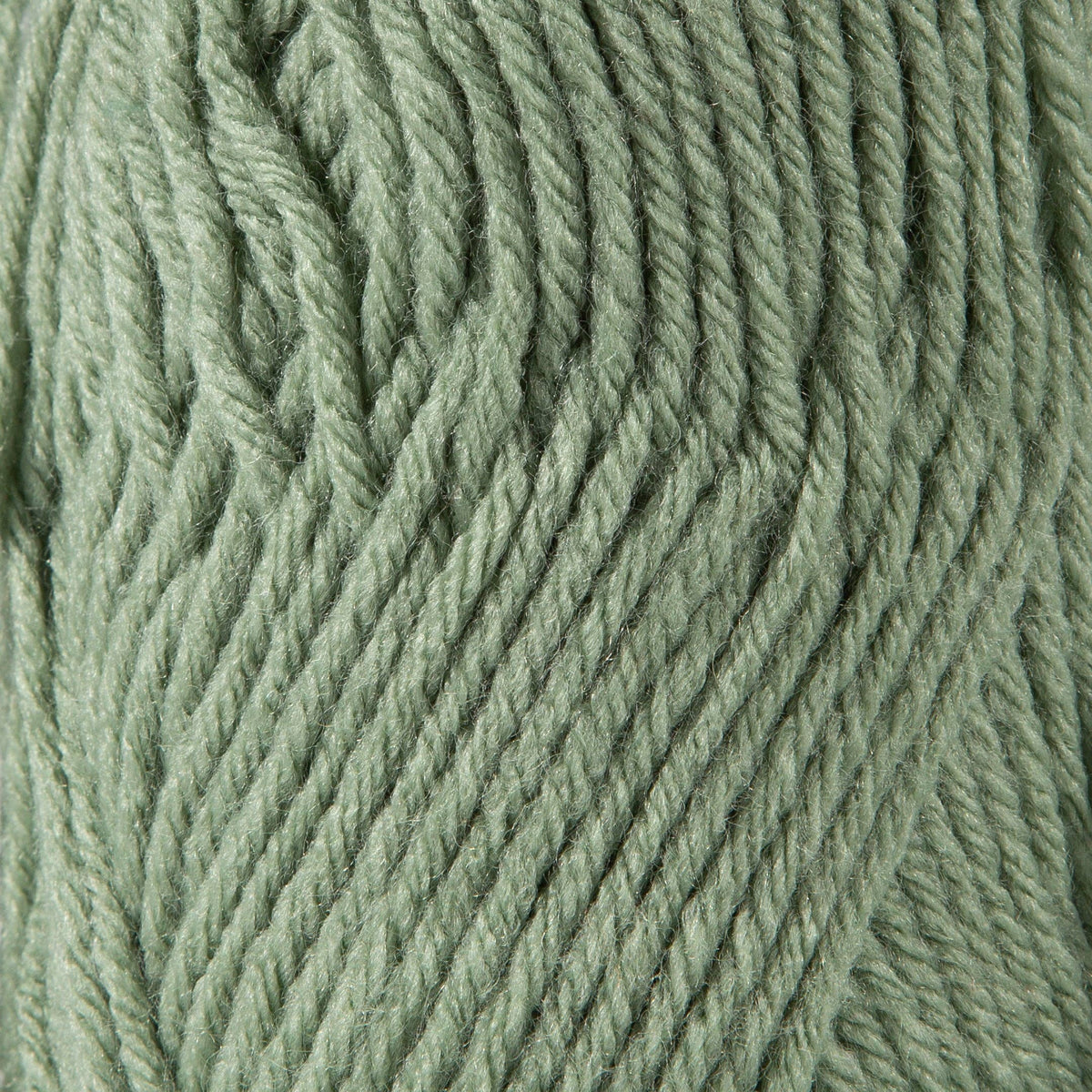 Sensy Roving Yarn : Lily Pad / 1 Skein
