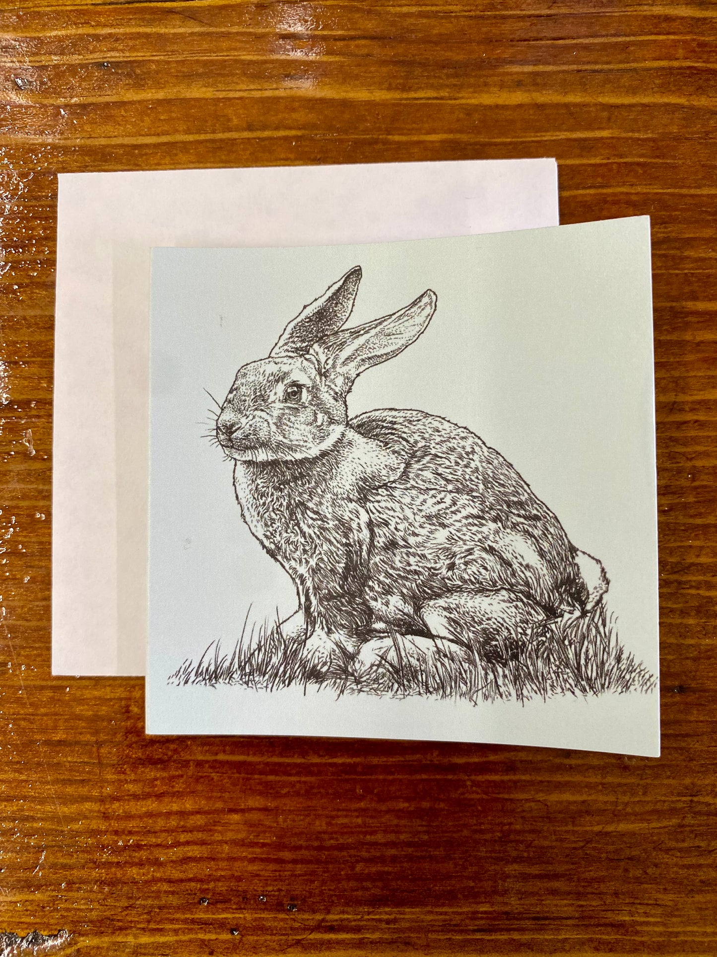BUNNY SKETCH MINI GIFT CARD WITH ENVELOPE