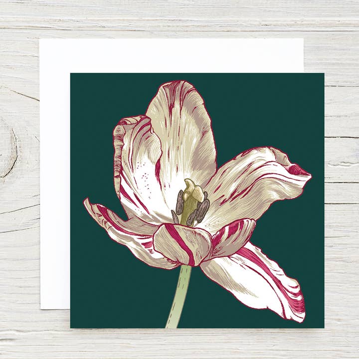 OPEN TULIP MINI GIFT CARD WITH ENVELOPE