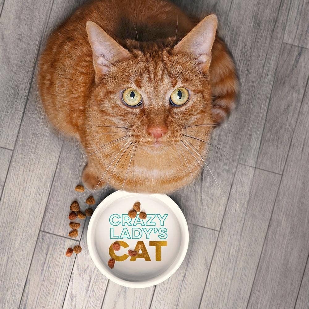 Howligans - Mug+Cat Bowl - Crazy Cat Lady / Crazy Lady's Cat