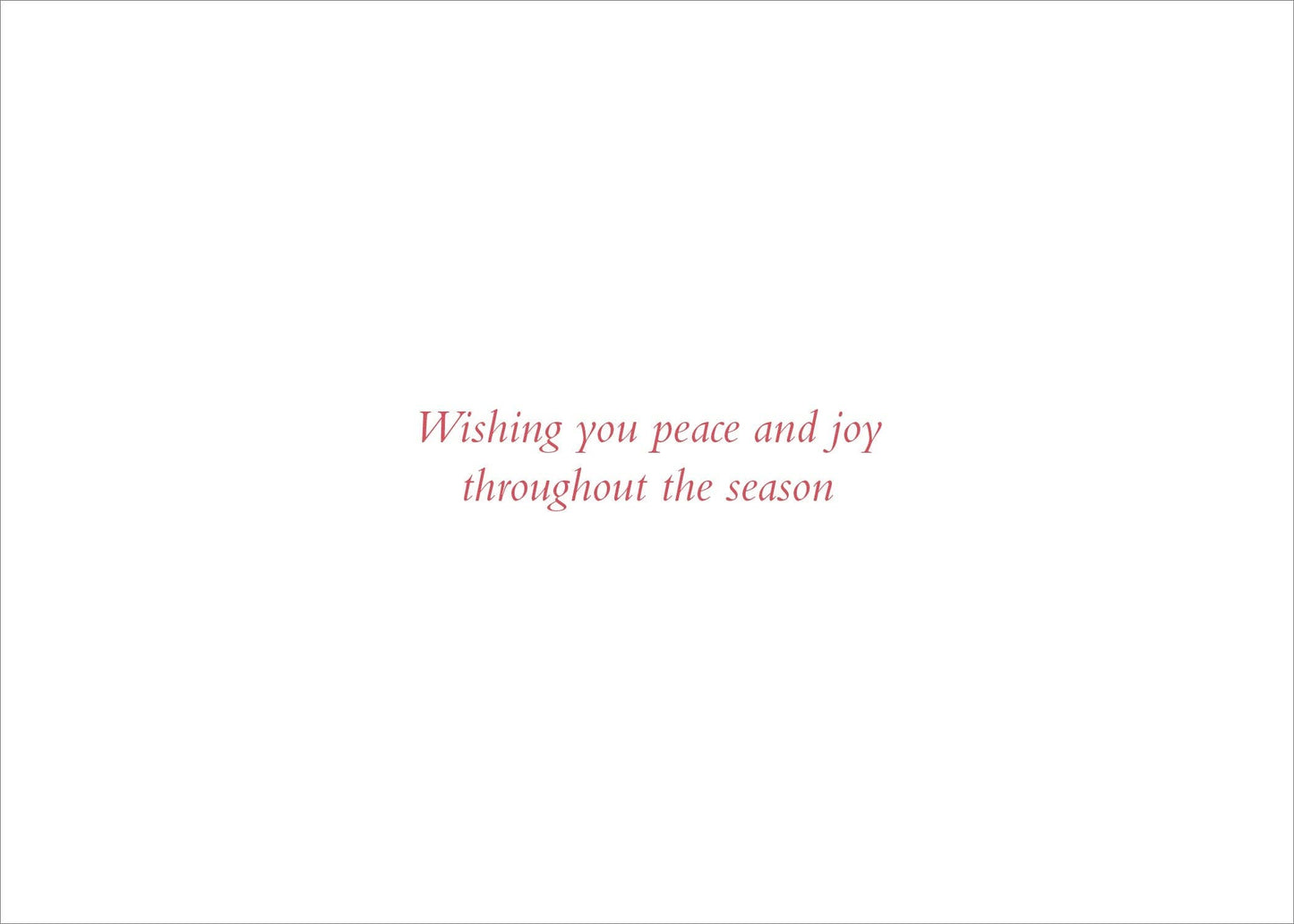 Tidings of Joy Deluxe Boxed Holiday Cards