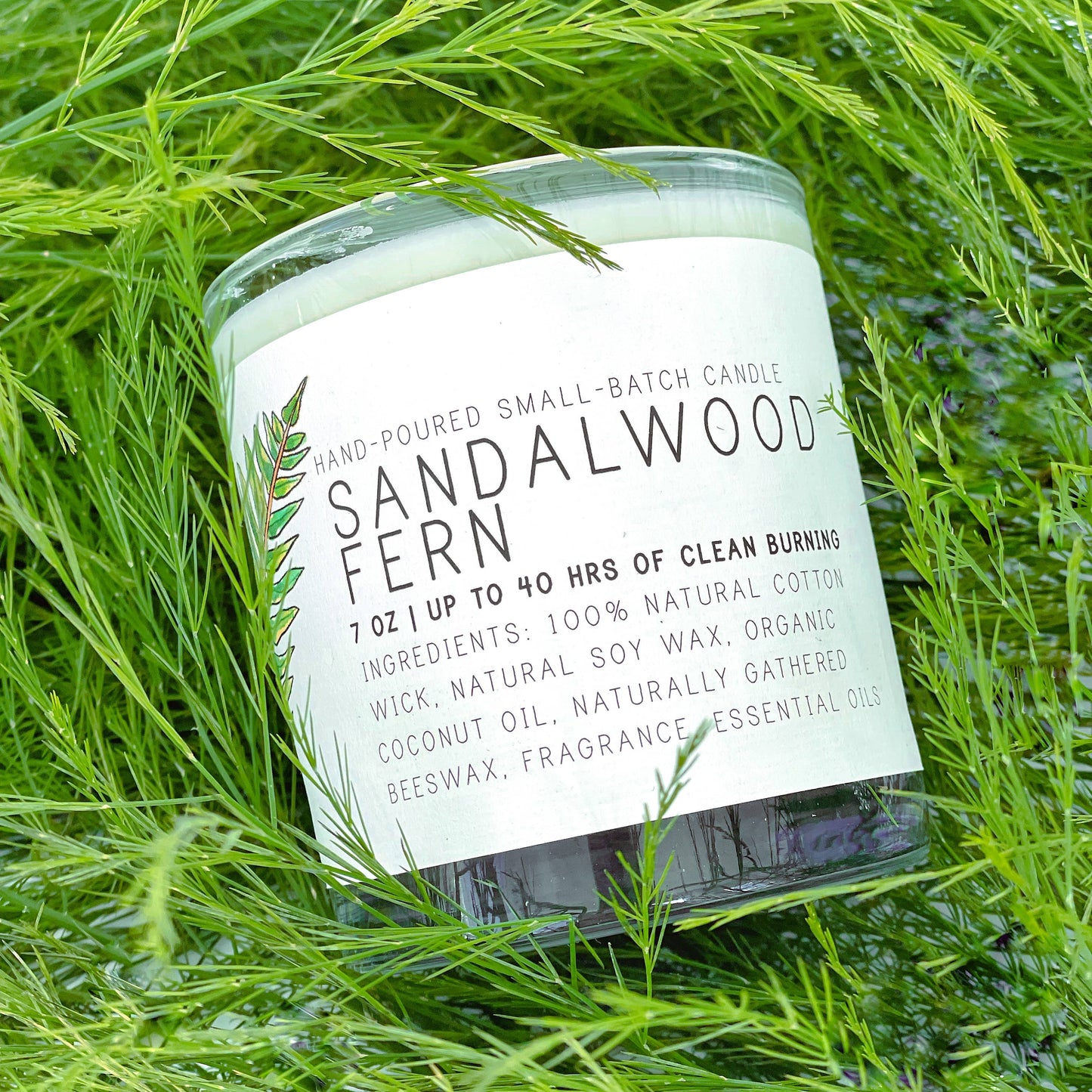 Sandalwood Fern - Just Bee Candles: 7 oz (up to 40 hrs of clean burning)