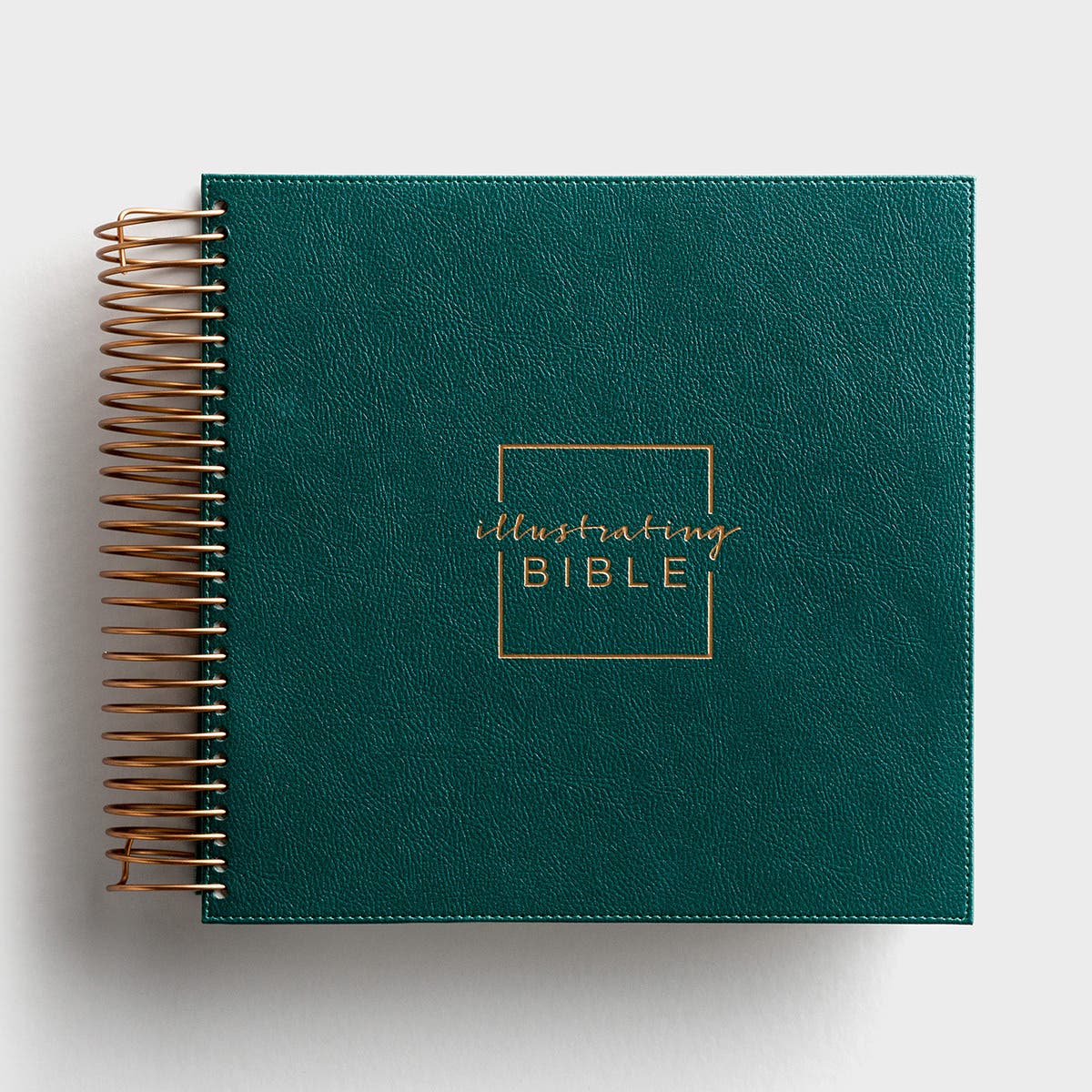J1076 Illustrating Bible CSB - Green