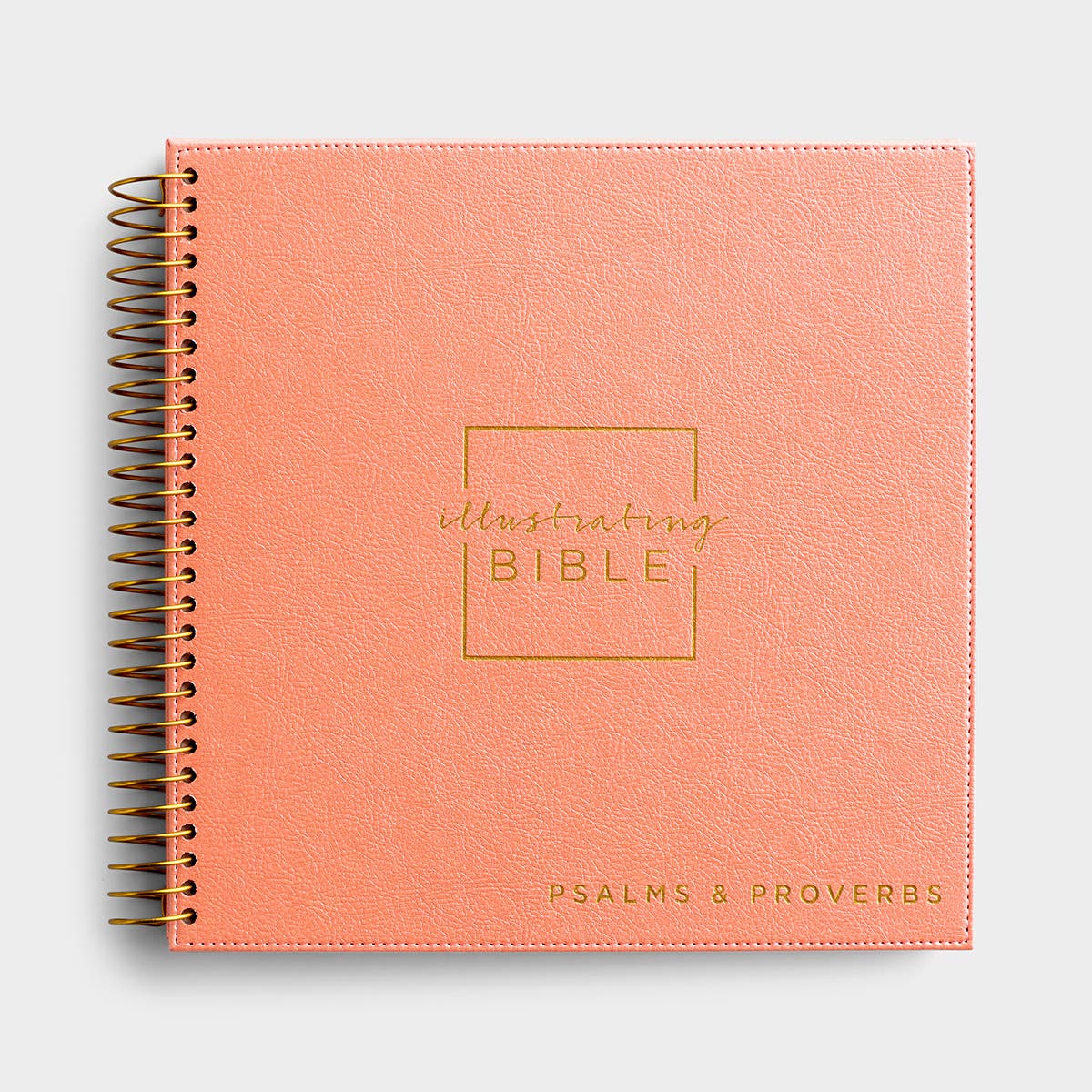 J3405 NIV - Illustrating Bible -Psa and Pro