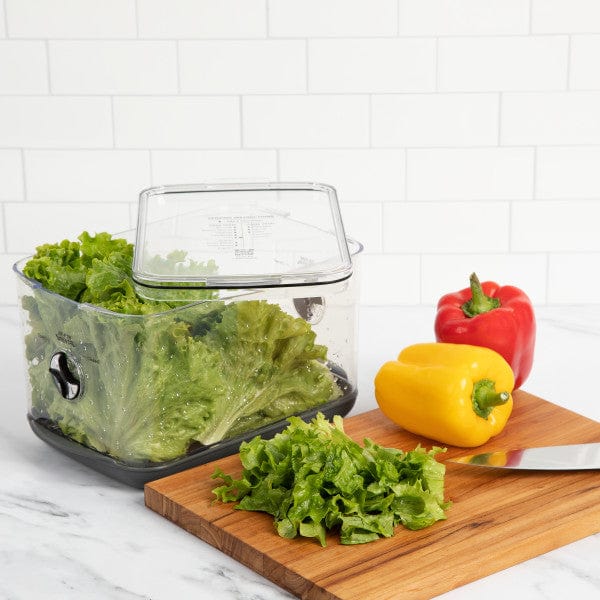 Prokeeper+ Large Produce Keeper