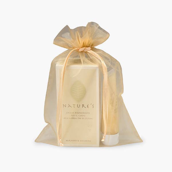 Organza Sheer Bags with Satin Drawsting Ribbon : Ivory / 10 Pack / 4x6"