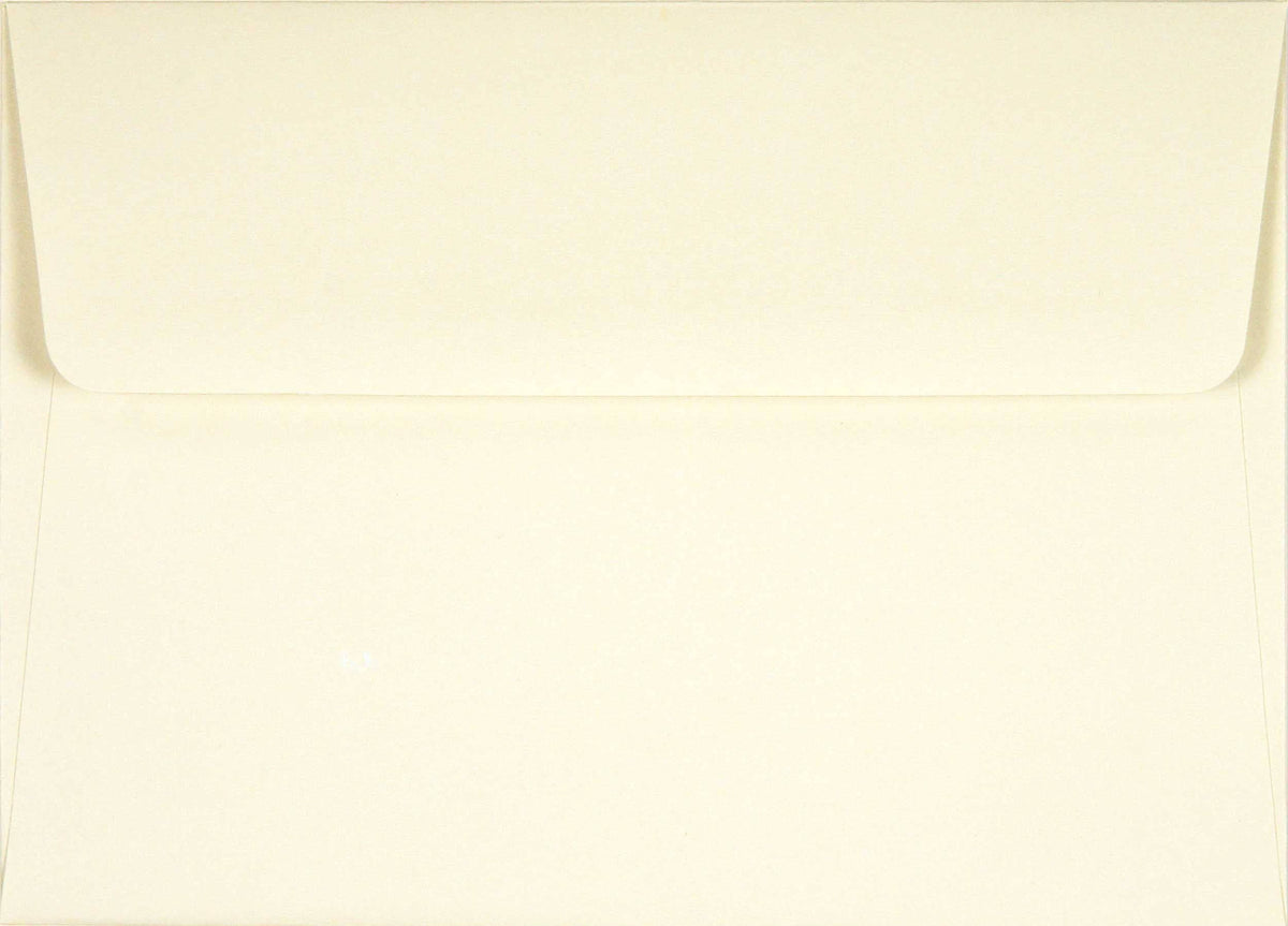 Hummingbird Flight Note Cards