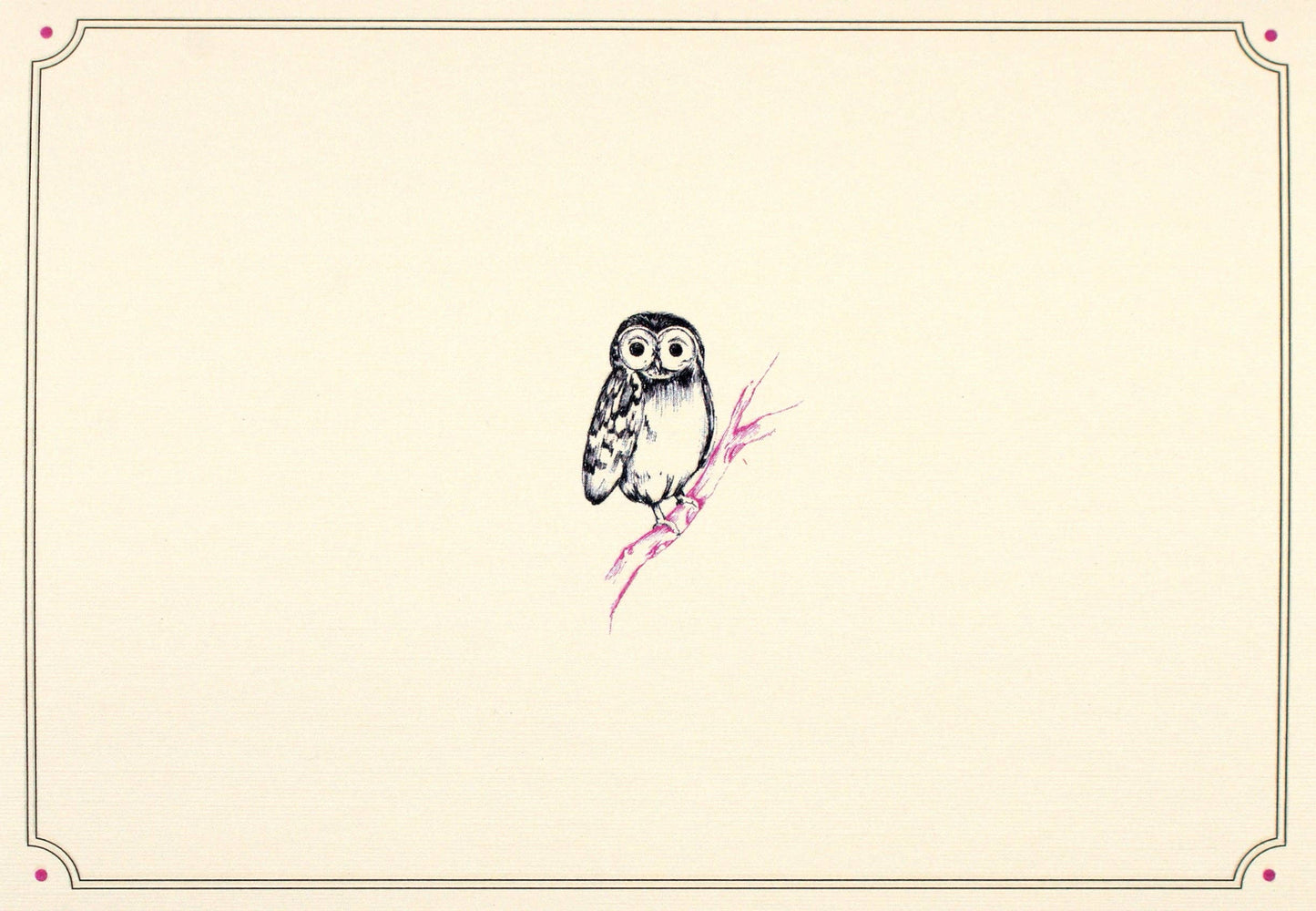 Owl Portrait Note Cards