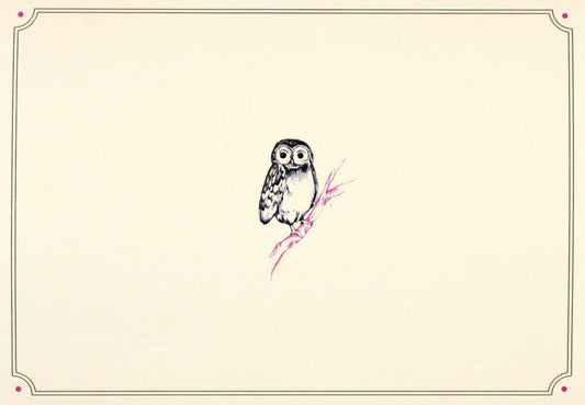 Owl Portrait Note Cards