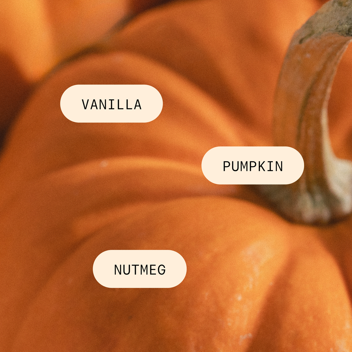 Pumpkin Spice - Pura Home Diffuser Scent Refill