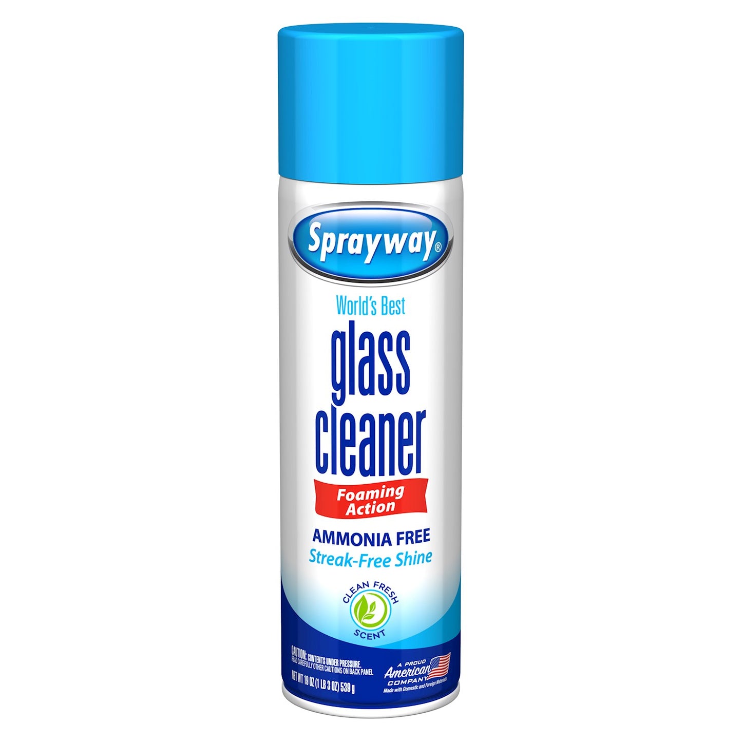 CLEANER GLASS FOAM 19OZ