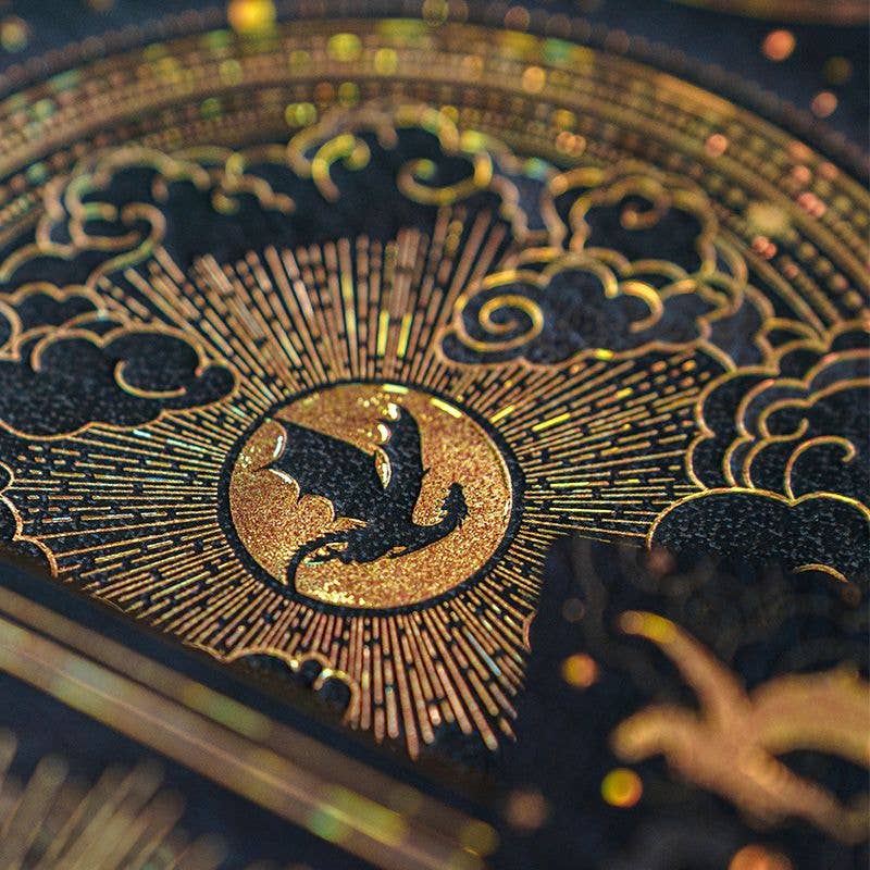 Paperblanks Shadows of Navarre Hardcover (Fourth Wing): Ultra / Lined
