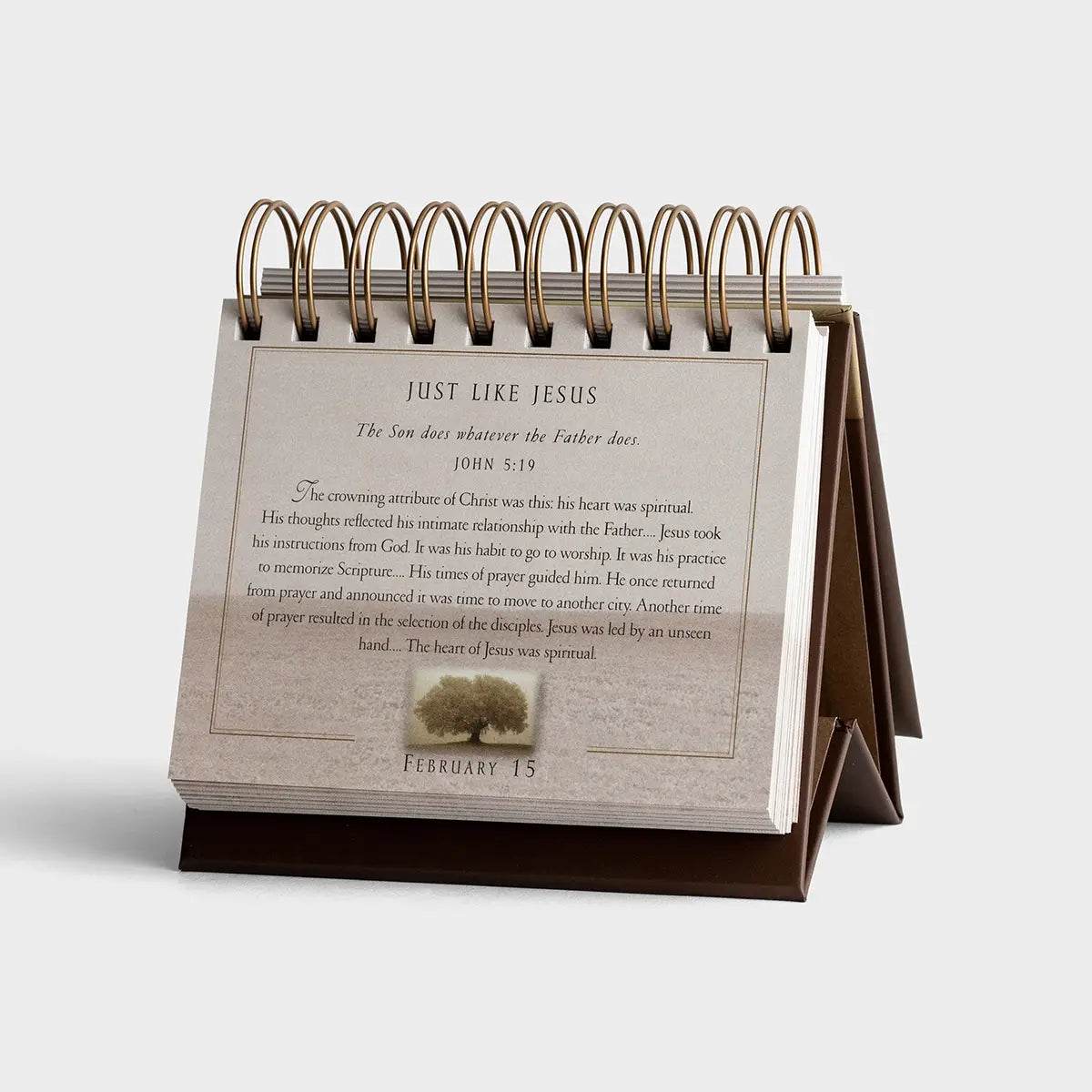 Max Lucado - Grace For The Moment - Perpetual Calendar