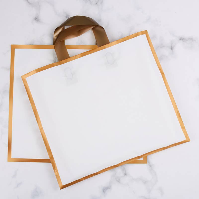 50pcs, 5 colors 12x3x10" Frosted Gold Border EVA Gift Bag : Frosted