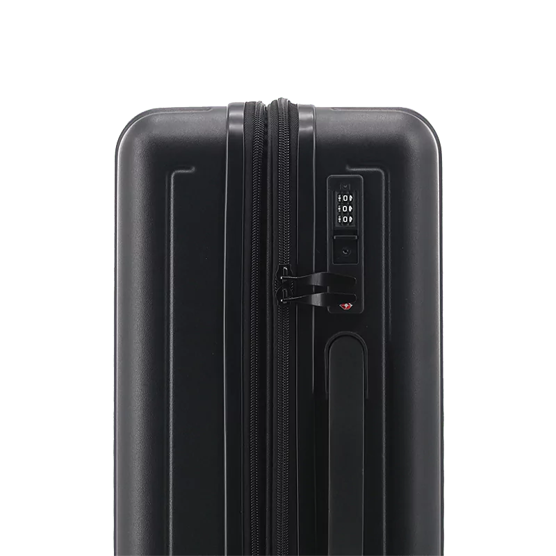 North Hardside Carry-on Luggage 20'': MISTY PURPLE