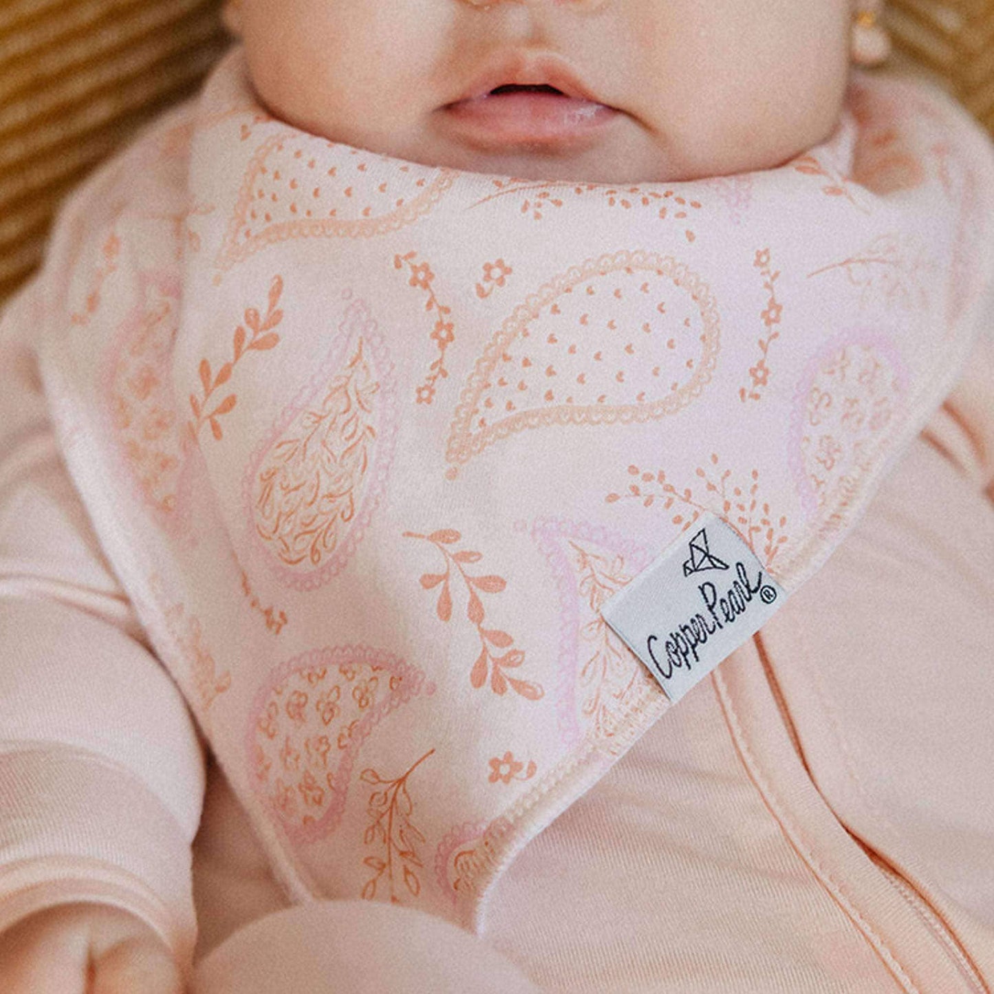 Baby Bandana Bibs - Cheyenne