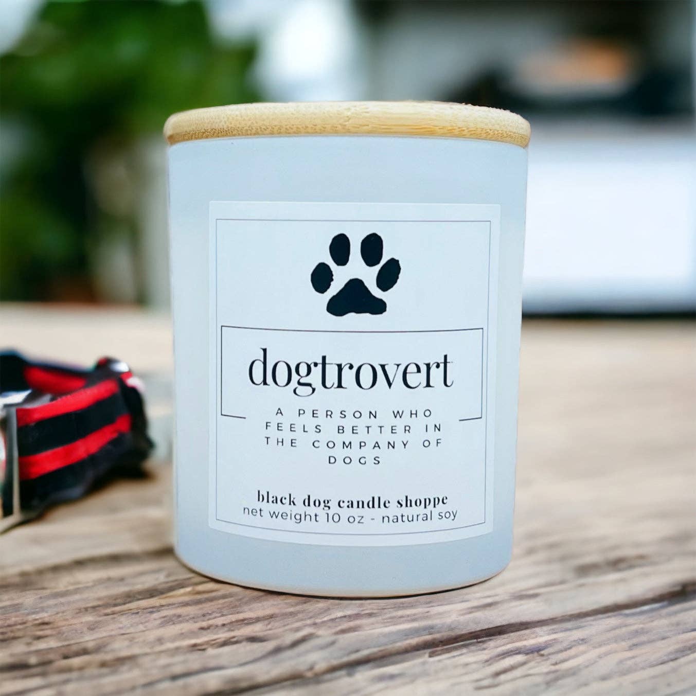 Dogtrovert Dog Lover Candle: Black / Baja Cactus Blossom