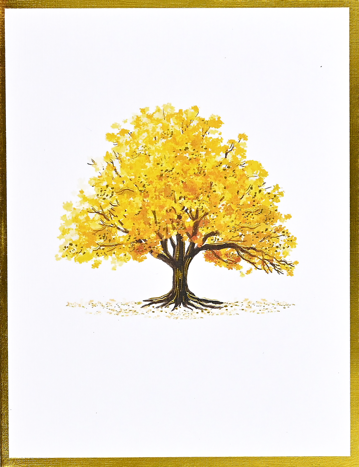 Watercolor Trees Premium Note Cards