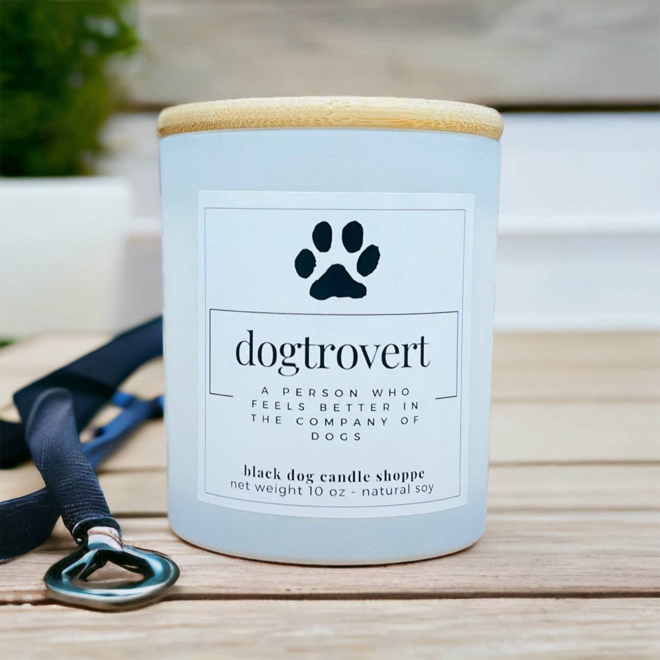 Dogtrovert Dog Lover Candle: Black / Baja Cactus Blossom