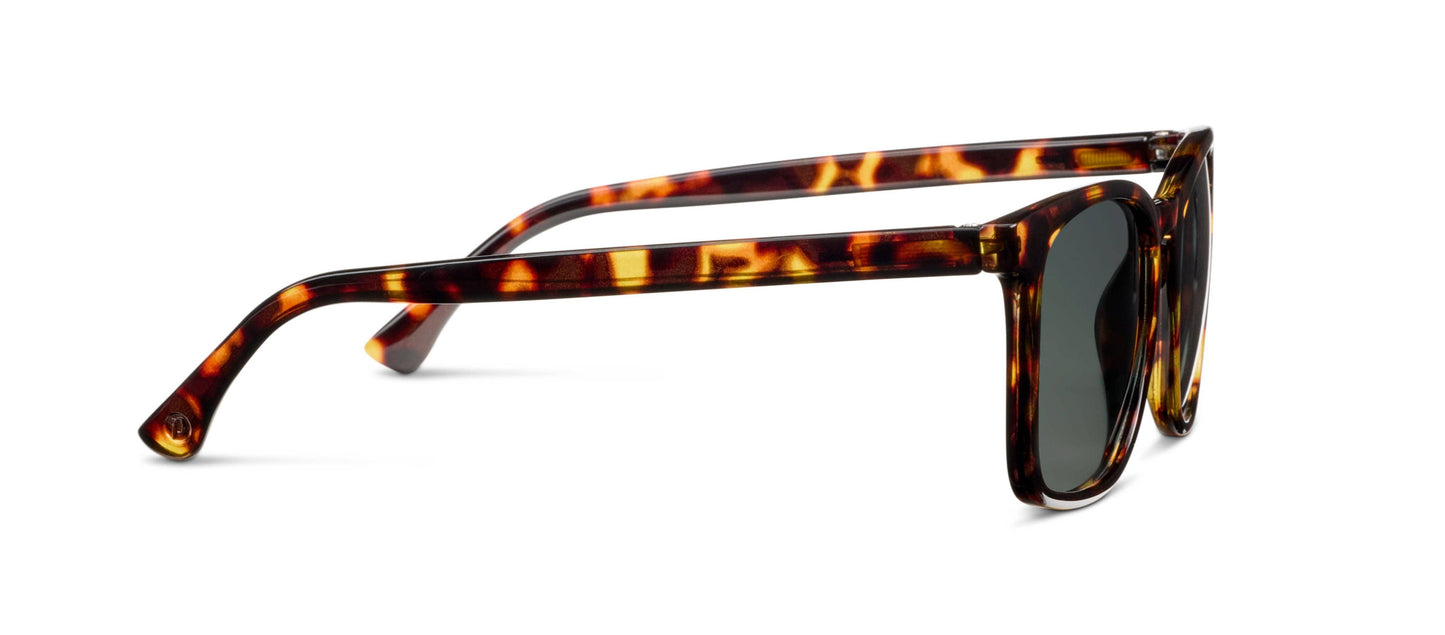 Mateo (Sunglasses): Tortoise / No Correction / None