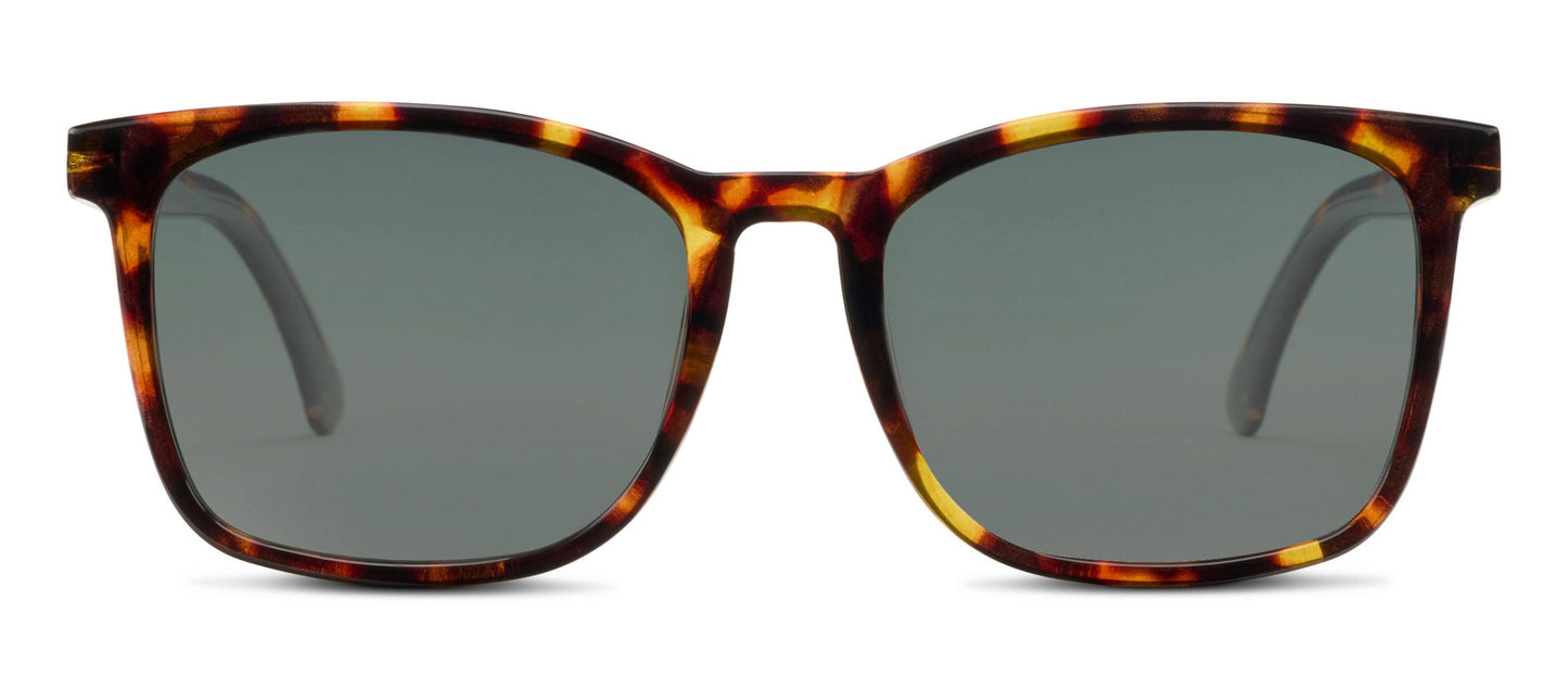 Mateo (Sunglasses): Tortoise / No Correction / None