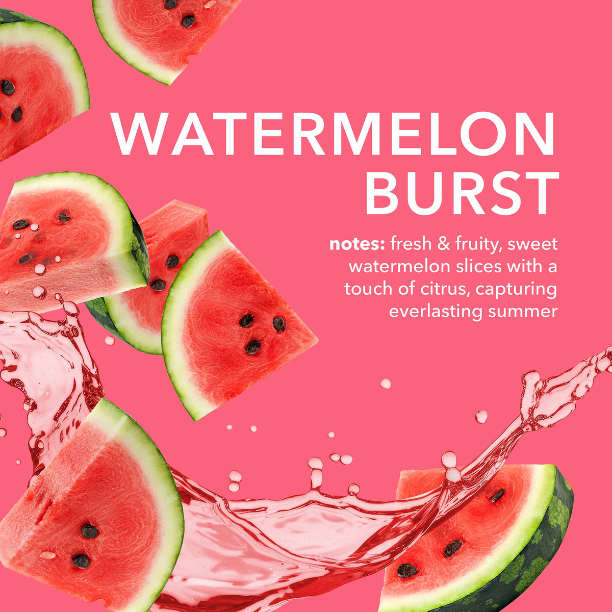 Dionis Watermelon Burst Goat Milk Lip Balm, 18 Ct Display