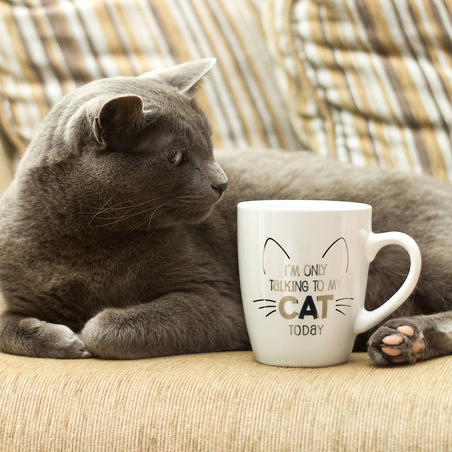 Lillian Rose "I'm Only Talking to My Cat Today" Ceramic Mug