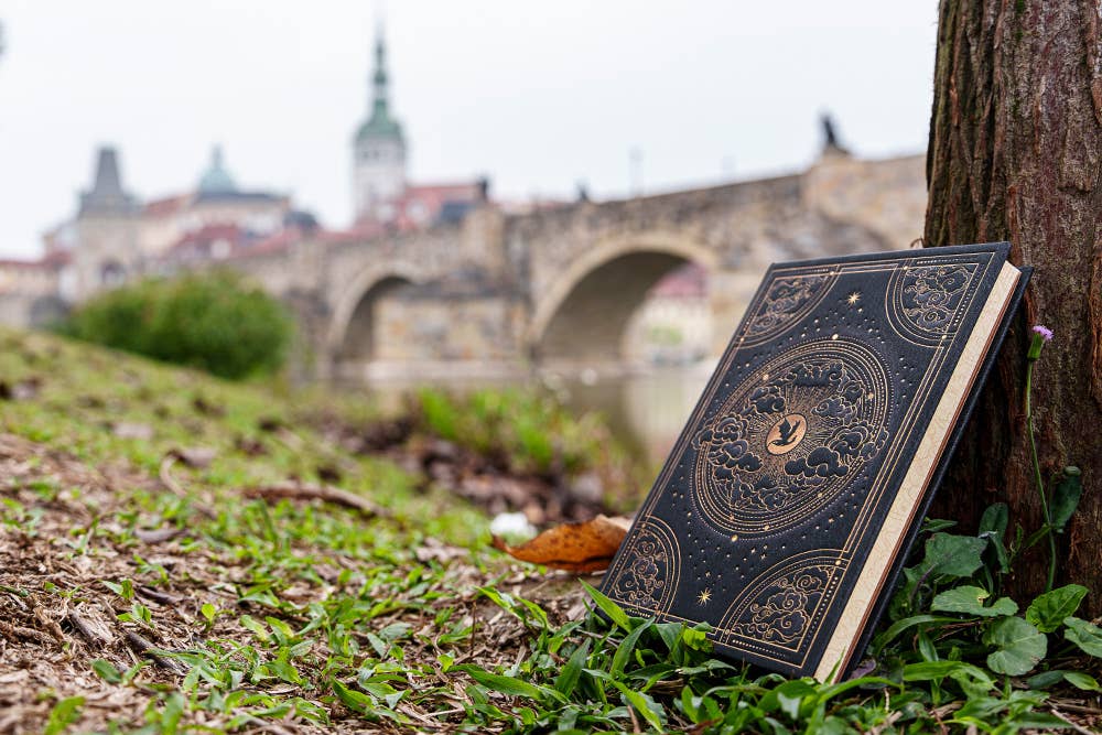 Paperblanks Shadows of Navarre Hardcover (Fourth Wing): Midi / Lined
