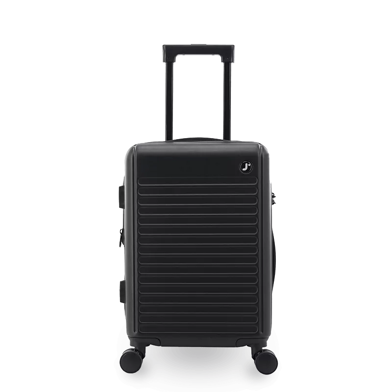 North Hardside Carry-on Luggage 20'': MISTY PURPLE
