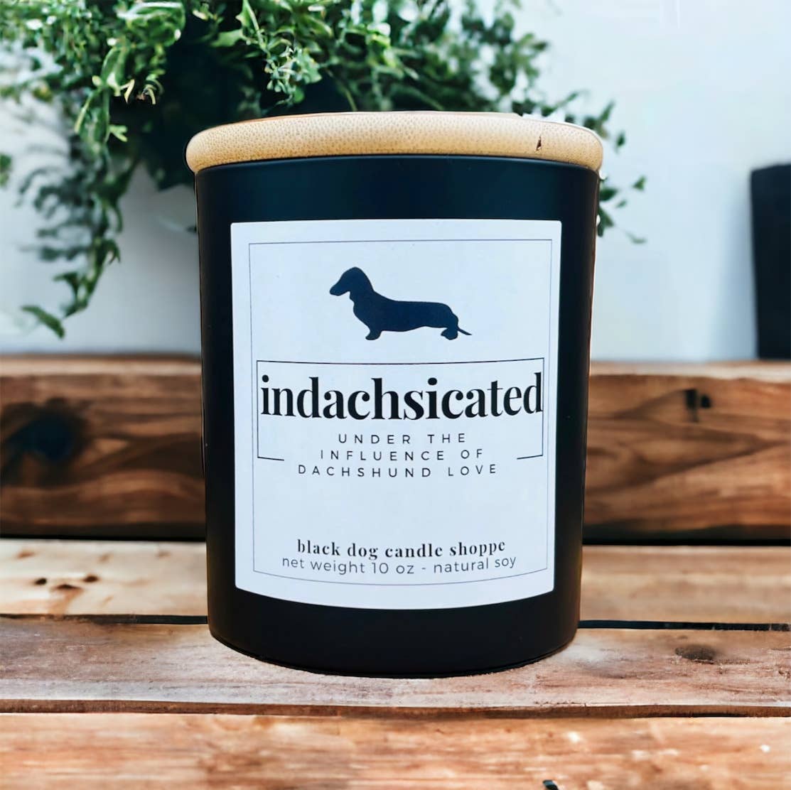 Dachshund Funny Candle: White / Mahogany Teakwood