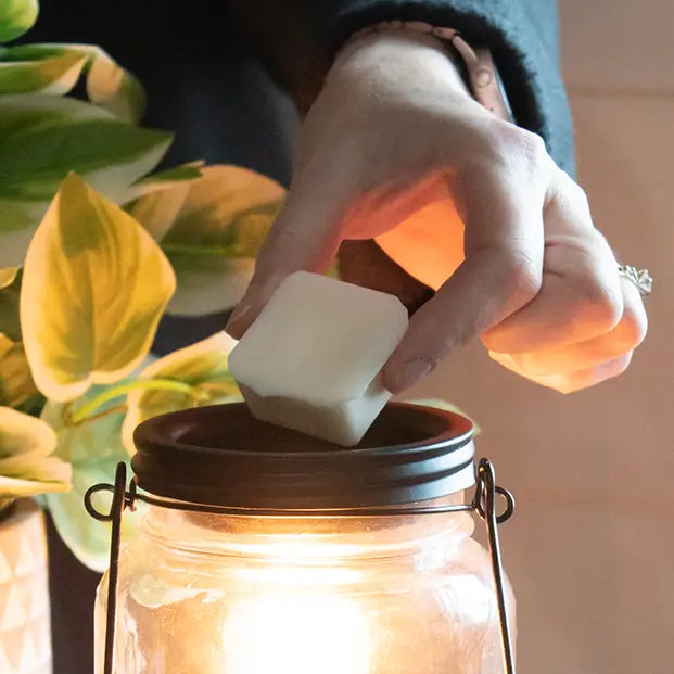 5.5 oz Wax Melts: Sweet Tobacco Leaves