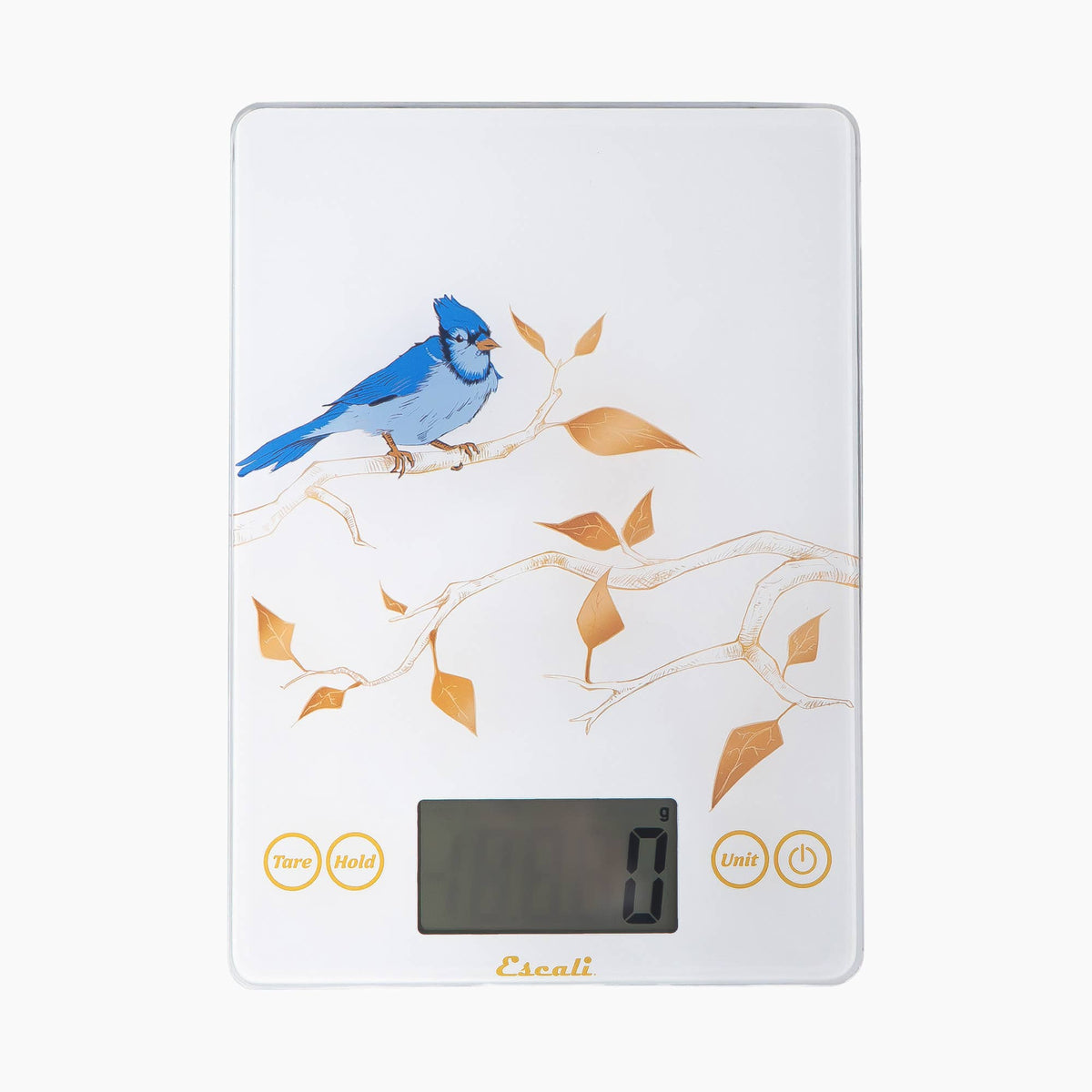 Arti Glass Kitchen Scale: Blue Jay