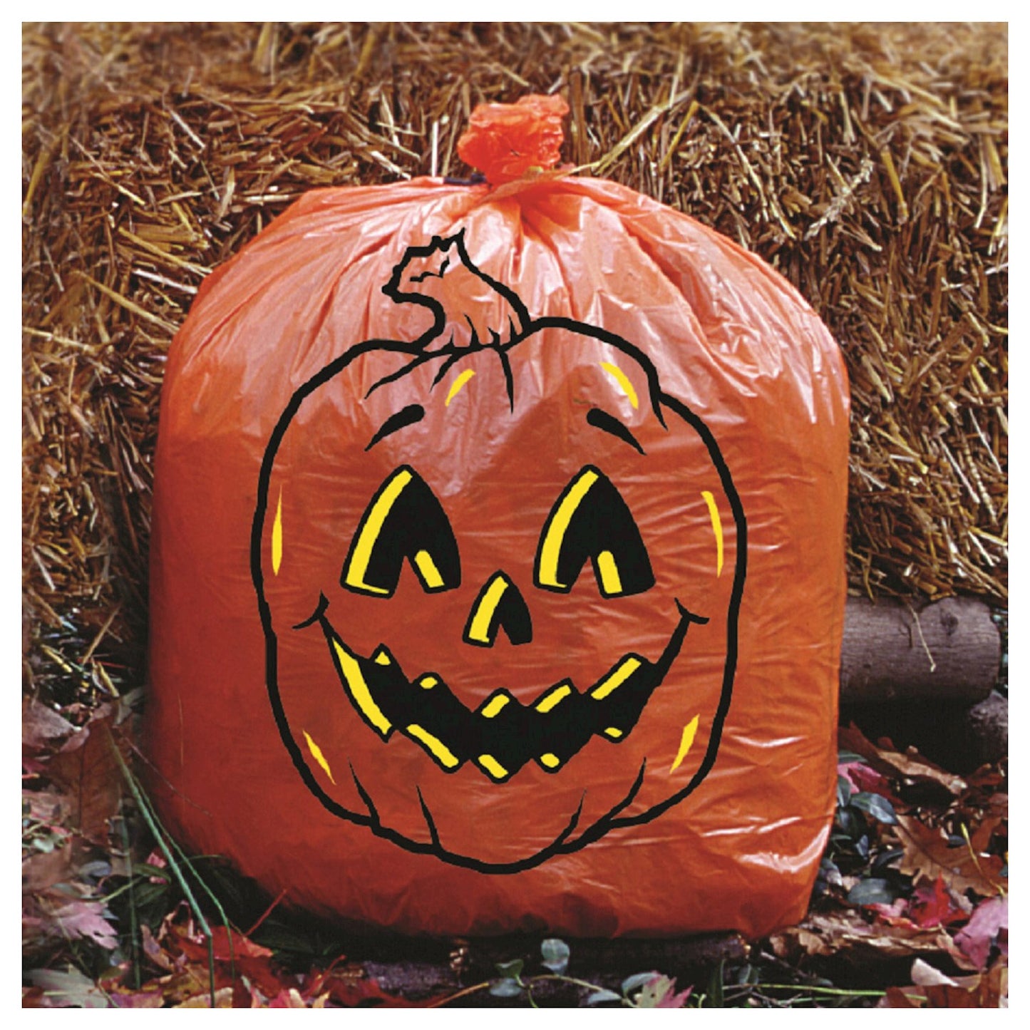 Leaf Bag Pumpkin 36in X 48in