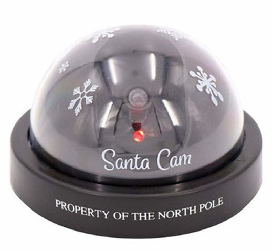 12351 PLST LED SANTA CAM LIGHT 5