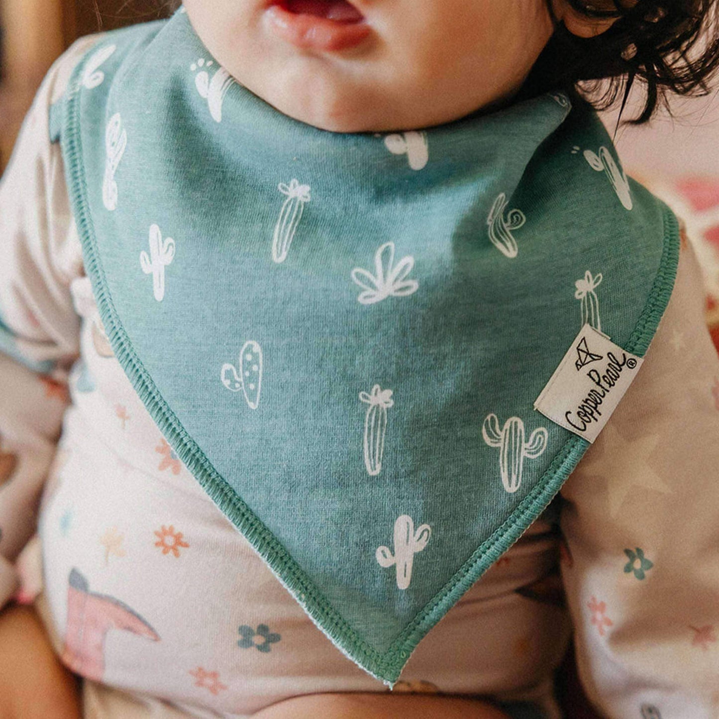 Baby Bandana Bibs - Cheyenne